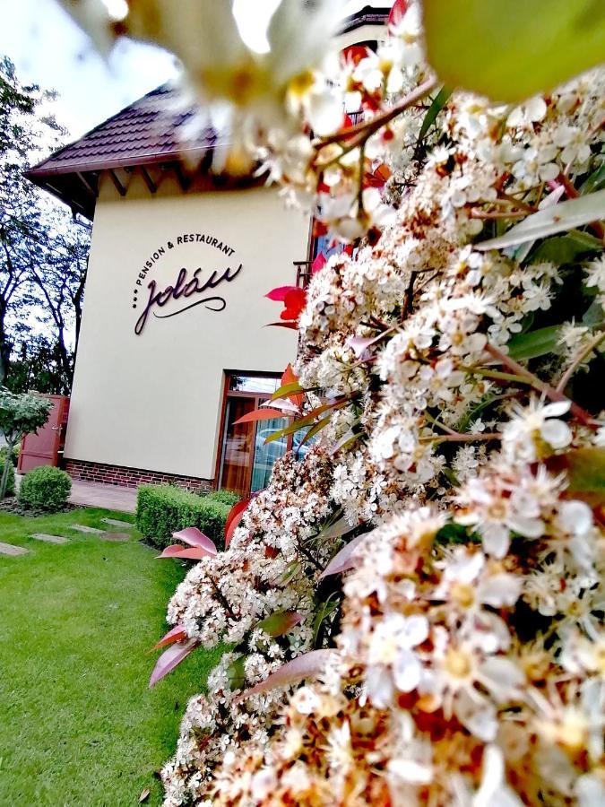 Jolan Pension & Restaurant Cicov Dış mekan fotoğraf