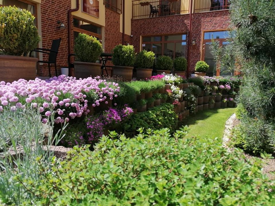 Jolan Pension & Restaurant Cicov Dış mekan fotoğraf